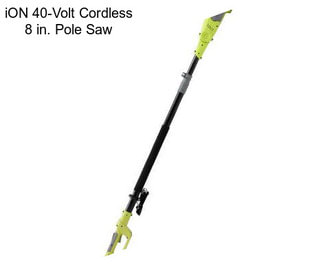 ION 40-Volt Cordless 8 in. Pole Saw