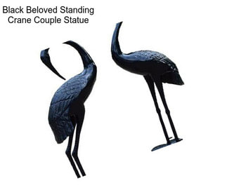 Black Beloved Standing Crane Couple Statue