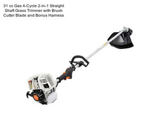 31 cc Gas 4-Cycle 2-in-1 Straight Shaft Grass Trimmer with Brush Cutter Blade and Bonus Harness