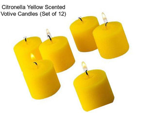 Citronella Yellow Scented Votive Candles (Set of 12)