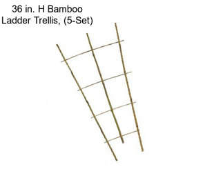 36 in. H Bamboo Ladder Trellis, (5-Set)