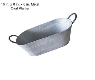 16 in. x 8 in. x 6 in. Metal Oval Planter