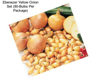 Ebenezer Yellow Onion Set (80-Bulbs Per Package)