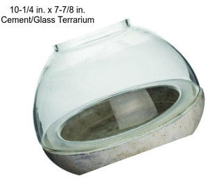 10-1/4 in. x 7-7/8 in. Cement/Glass Terrarium