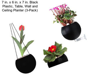 7 in. x 6 in. x 7 in. Black Plastic, Table, Wall and Ceiling Planter (3-Pack)