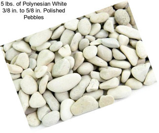 5 lbs. of Polynesian White 3/8 in. to 5/8 in. Polished Pebbles