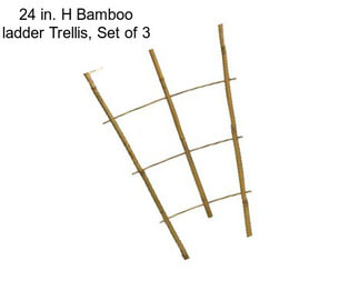 24 in. H Bamboo ladder Trellis, Set of 3