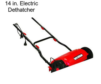 14 in. Electric Dethatcher