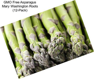 GMO Free Asparagus Mary Washington Roots (12-Pack)