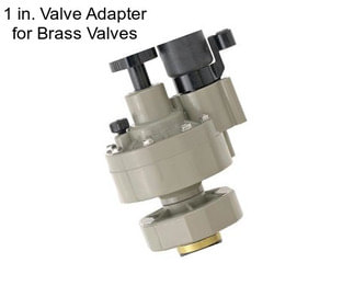 1 in. Valve Adapter for Brass Valves