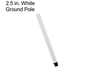 2.5 in. White Ground Pole