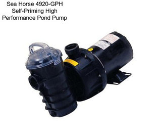 Sea Horse 4920-GPH Self-Priming High Performance Pond Pump