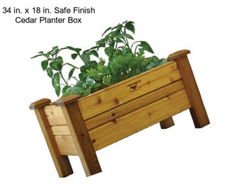 34 in. x 18 in. Safe Finish Cedar Planter Box