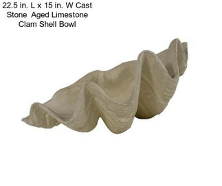 22.5 in. L x 15 in. W Cast Stone  Aged Limestone Clam Shell Bowl