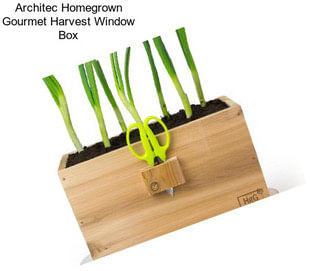 Architec Homegrown Gourmet Harvest Window Box