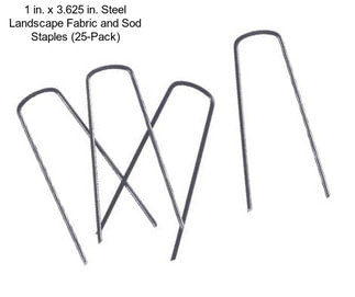 1 in. x 3.625 in. Steel Landscape Fabric and Sod Staples (25-Pack)