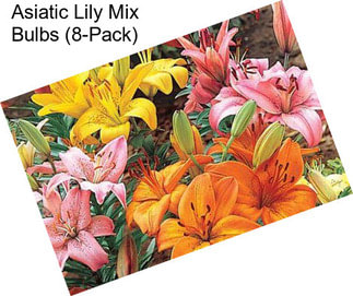 Asiatic Lily Mix Bulbs (8-Pack)