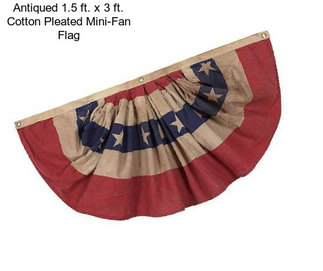 Antiqued 1.5 ft. x 3 ft. Cotton Pleated Mini-Fan Flag