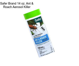 Safer Brand 14 oz. Ant & Roach Aerosol Killer