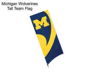 Michigan Wolverines Tall Team Flag