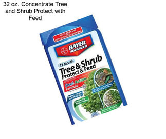 32 oz. Concentrate Tree and Shrub Protect with Feed