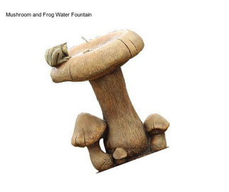 Mushroom and Frog Water Fountain