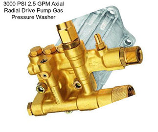 3000 PSI 2.5 GPM Axial Radial Drive Pump Gas Pressure Washer