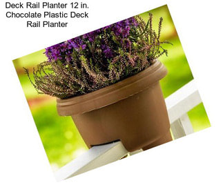 Deck Rail Planter 12 in. Chocolate Plastic Deck Rail Planter