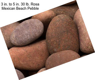3 in. to 5 in. 30 lb. Rosa Mexican Beach Pebble