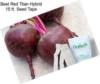 Beet Red Titan Hybrid 15 ft. Seed Tape