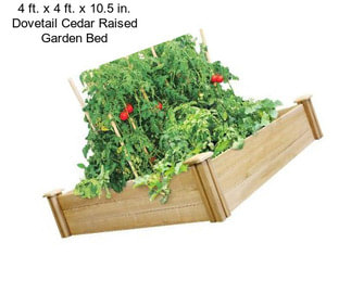 4 ft. x 4 ft. x 10.5 in. Dovetail Cedar Raised Garden Bed