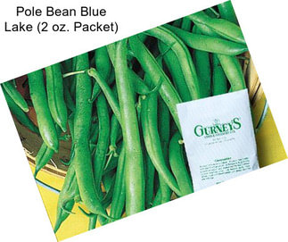 Pole Bean Blue Lake (2 oz. Packet)