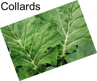 Collards