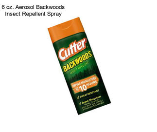 6 oz. Aerosol Backwoods Insect Repellent Spray