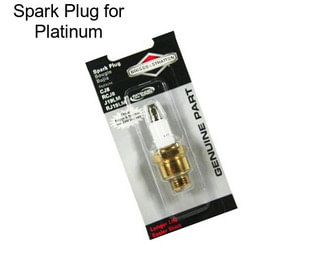 Spark Plug for Platinum