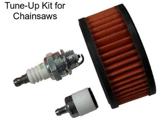 Tune-Up Kit for Chainsaws