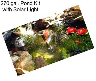 270 gal. Pond Kit with Solar Light