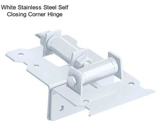 White Stainless Steel Self Closing Corner Hinge