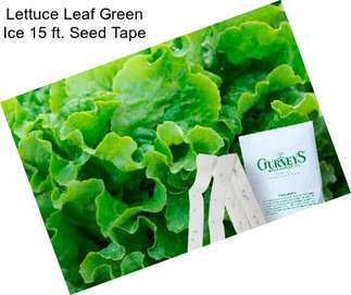 Lettuce Leaf Green Ice 15 ft. Seed Tape