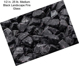 1/2 in. 25 lb. Medium Black Landscape Fire Glass