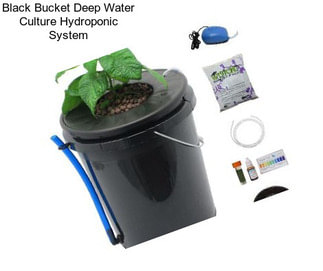 Black Bucket Deep Water Culture Hydroponic System