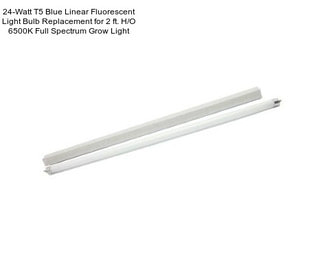 24-Watt T5 Blue Linear Fluorescent Light Bulb Replacement for 2 ft. H/O 6500K Full Spectrum Grow Light