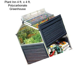 Plant Inn 4 ft. x 4 ft. Polycarbonate Greenhouse