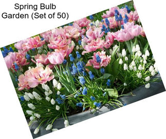 Spring Bulb Garden (Set of 50)