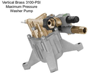 Vertical Brass 3100-PSI Maximum Pressure Washer Pump