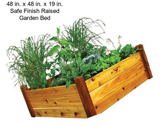 48 in. x 48 in. x 19 in. Safe Finish Raised Garden Bed