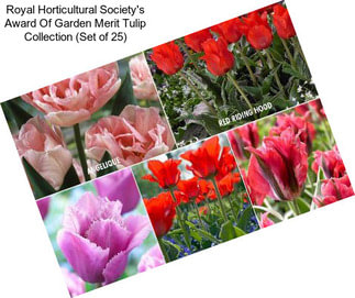 Royal Horticultural Society\'s Award Of Garden Merit Tulip Collection (Set of 25)