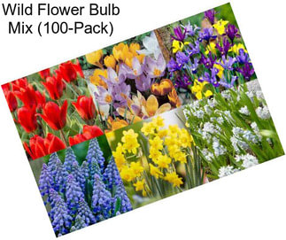 Wild Flower Bulb Mix (100-Pack)