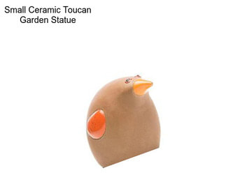 Small Ceramic Toucan Garden Statue