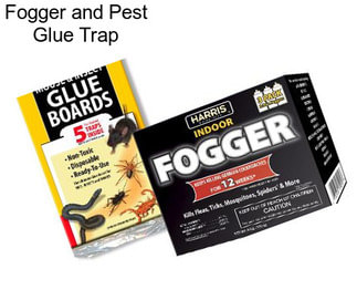 Fogger and Pest Glue Trap